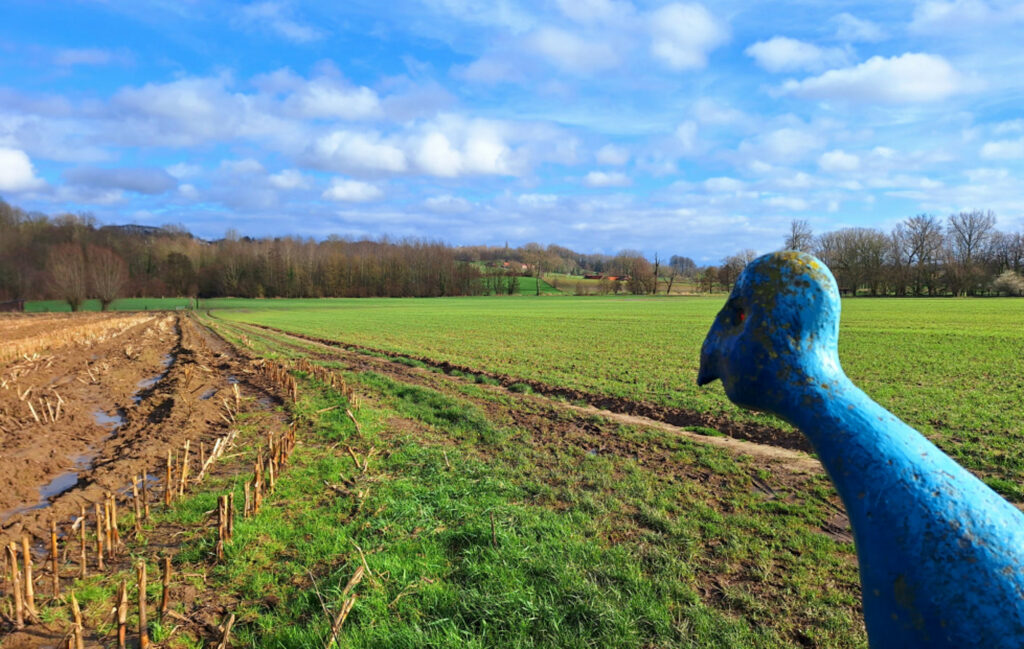 Ellezelles – Pays des Collines